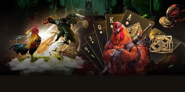 Hướng Dẫn Cách Chơi Đá Gà GA28 Tại V6Bet Từ A Đến Z Cho Kê Thủ