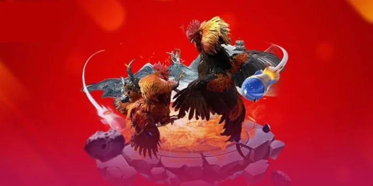 Khám Phá Toàn Bộ Sảnh Cược Đá Gà V6Bet Đỉnh Cao Và Hấp Dẫn Nhất Hiện Nay